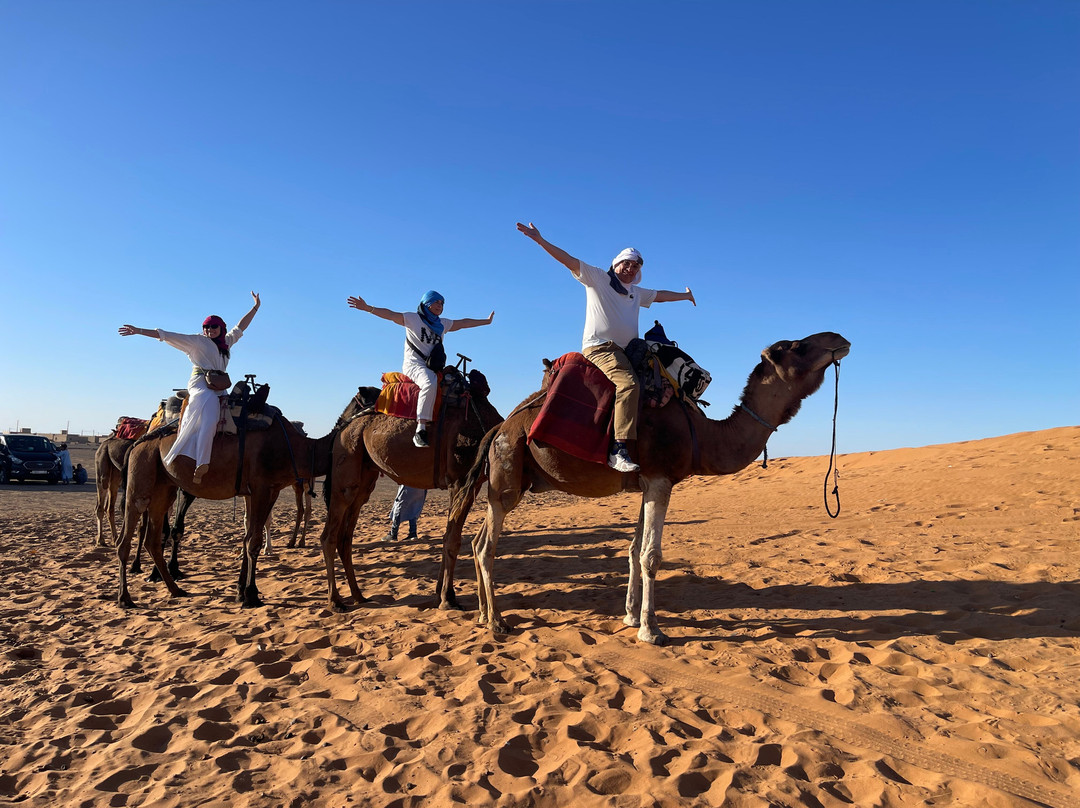 Desert Merzouga Tours-非斯必去景点