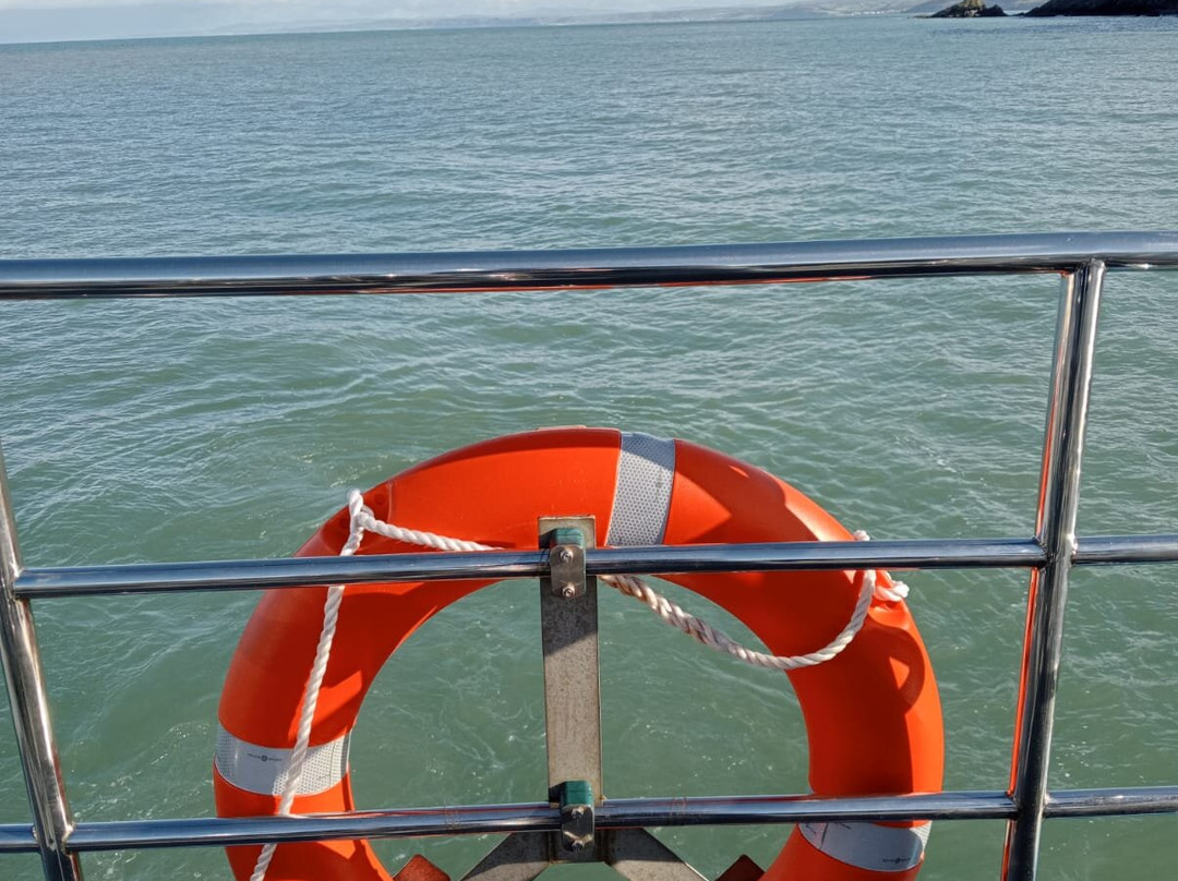 Dolphin Spotting Boat Trips (by New Quay Boat Trips)-纽基必去景点