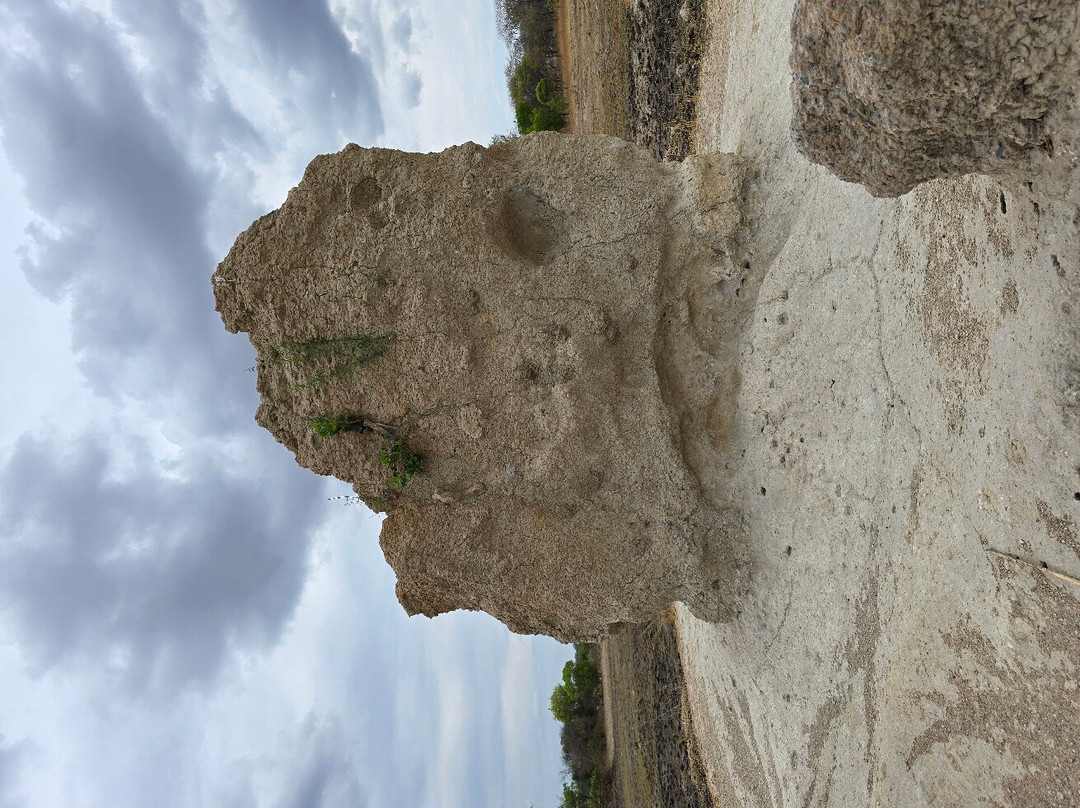 Chaminuka Nature Reserve-卢萨卡必去景点