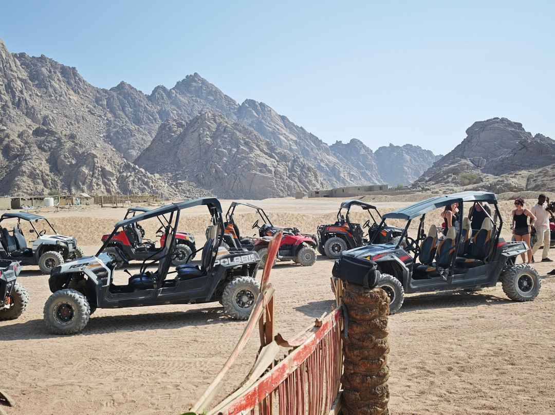 El Sherif Safari-沙姆沙伊赫必去景点