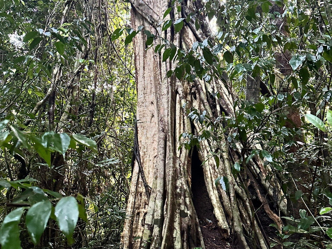 Cat Tien Park-Nam Cat Tien必去景点