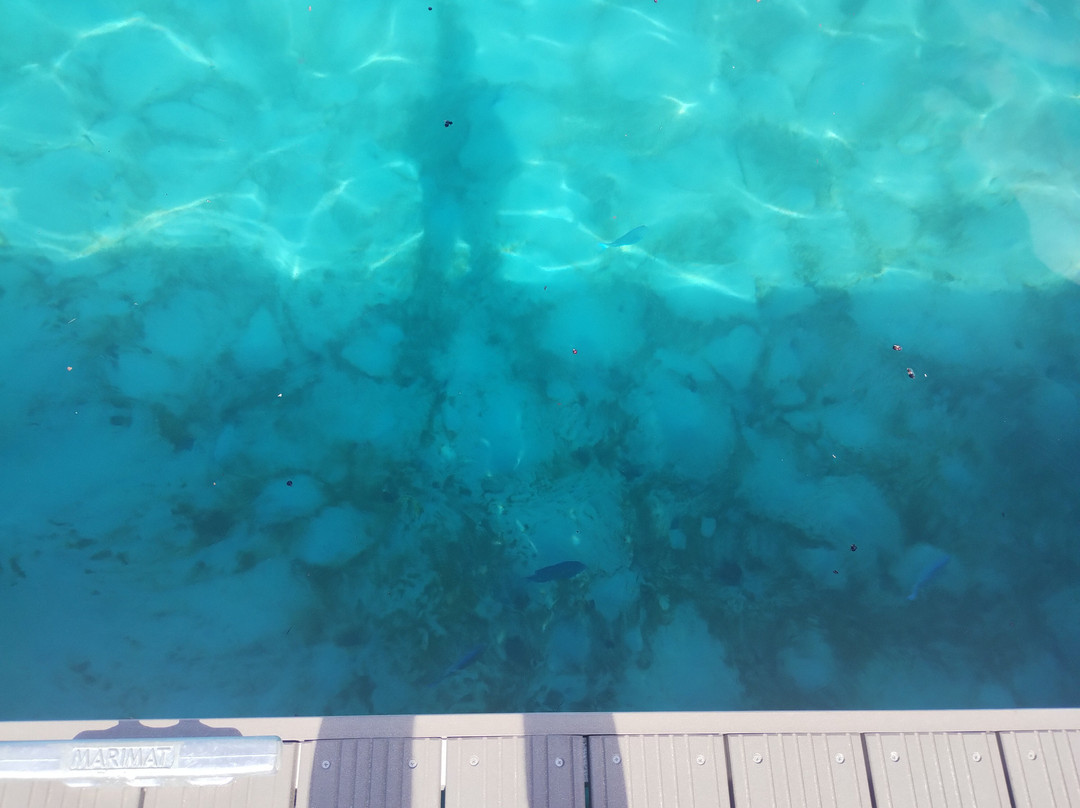 Mambo Beach-库拉索必去景点