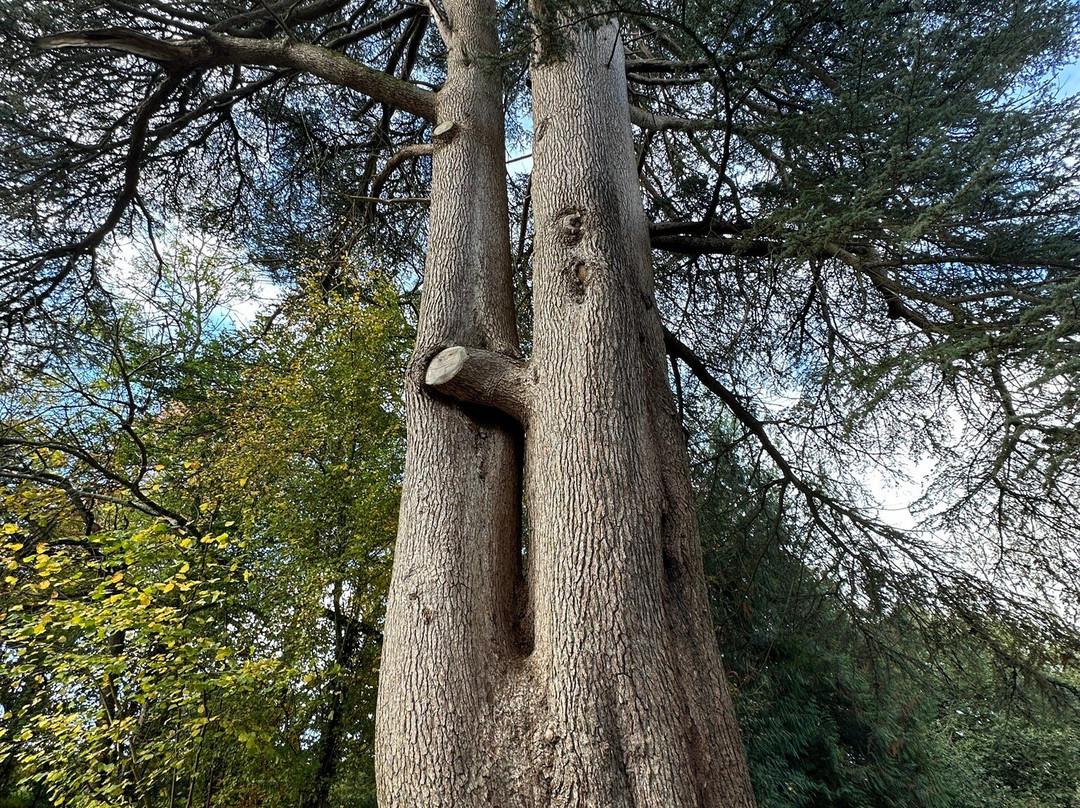 Wychwood Wild Garden-Shipton under Wychwood必去景点