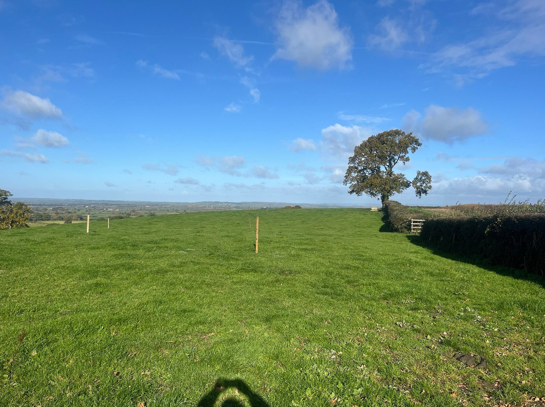 农家庭院旅馆主图