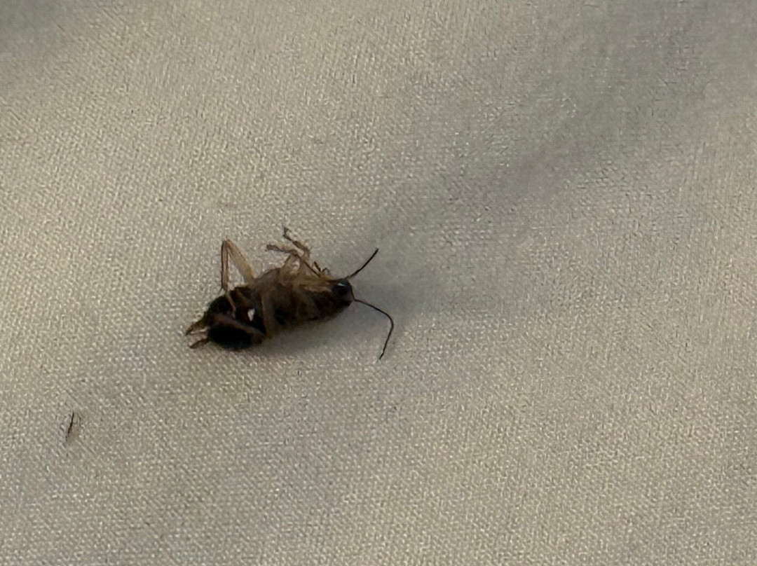 Quality Inn & Suites主图