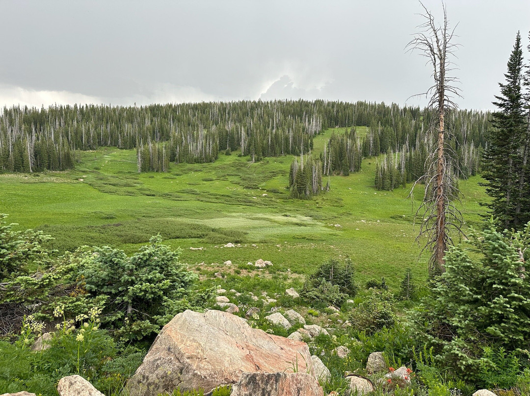 Mount Zirkel Wilderness Area-斯廷博特斯普林斯必去景点