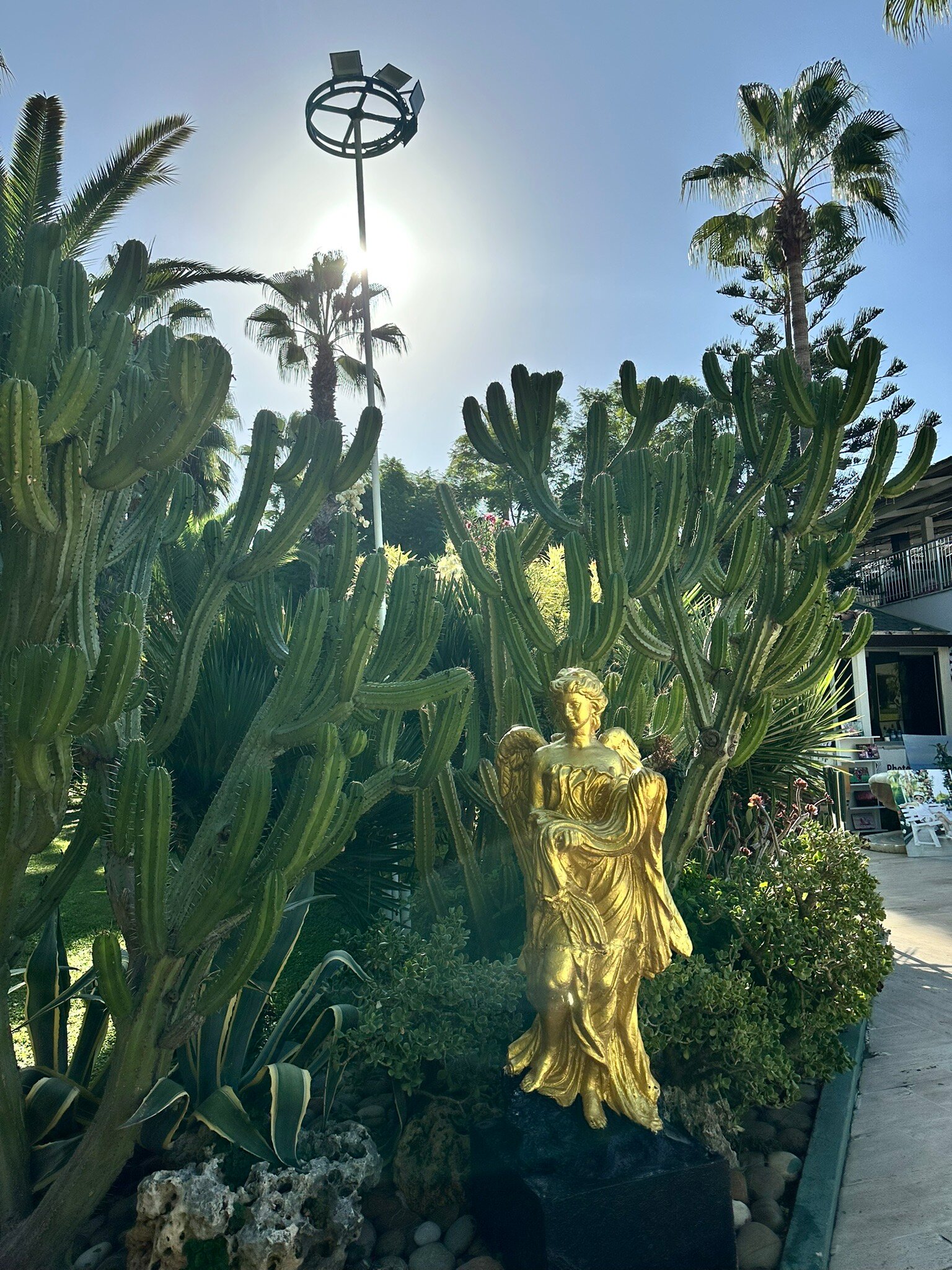 Botanik Hotel & Resort-官方