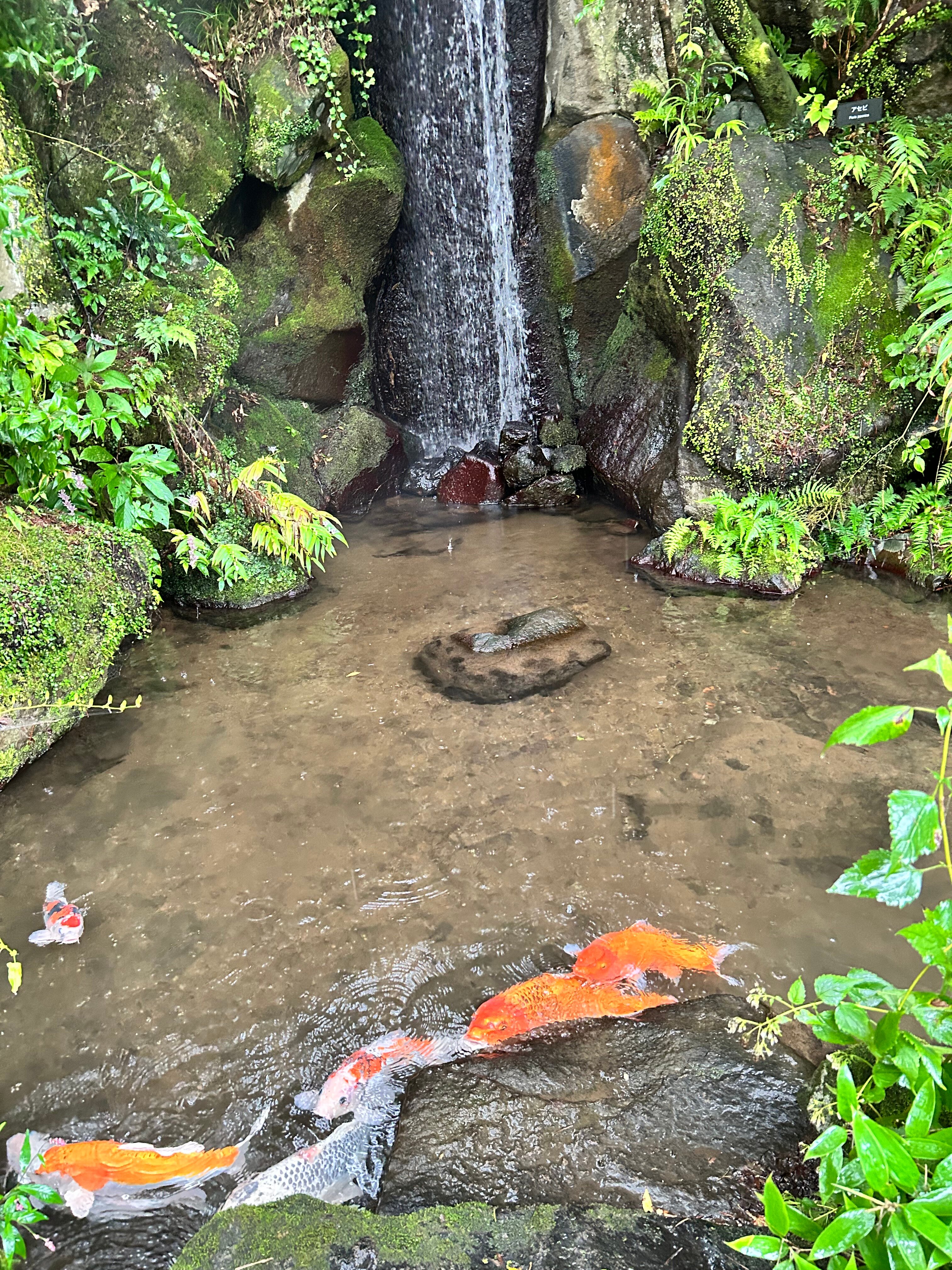 富士屋饭店-浴室