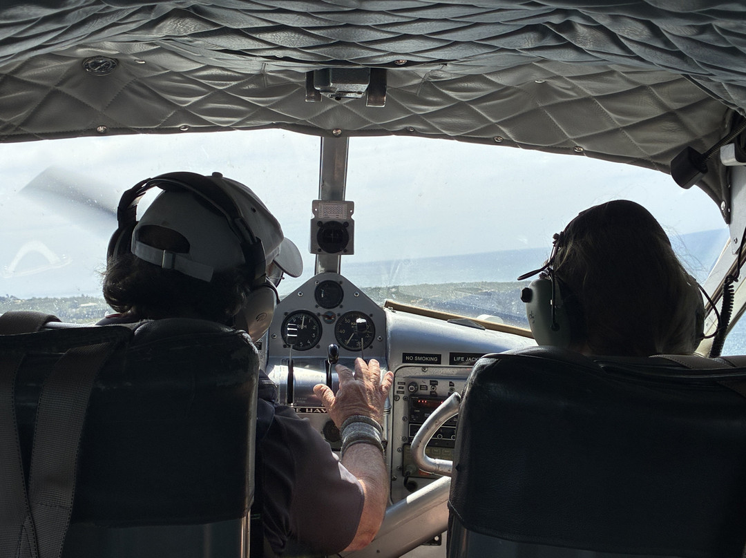 Sydney By Seaplane - Private Tours-Rose Bay必去景点