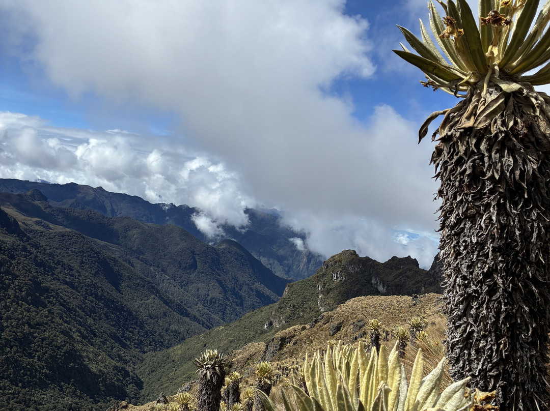 Crested Outdoors-萨伦托必去景点