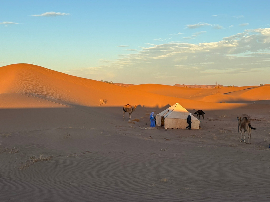 Loud Sahara Day Tours-扎古拉必去景点