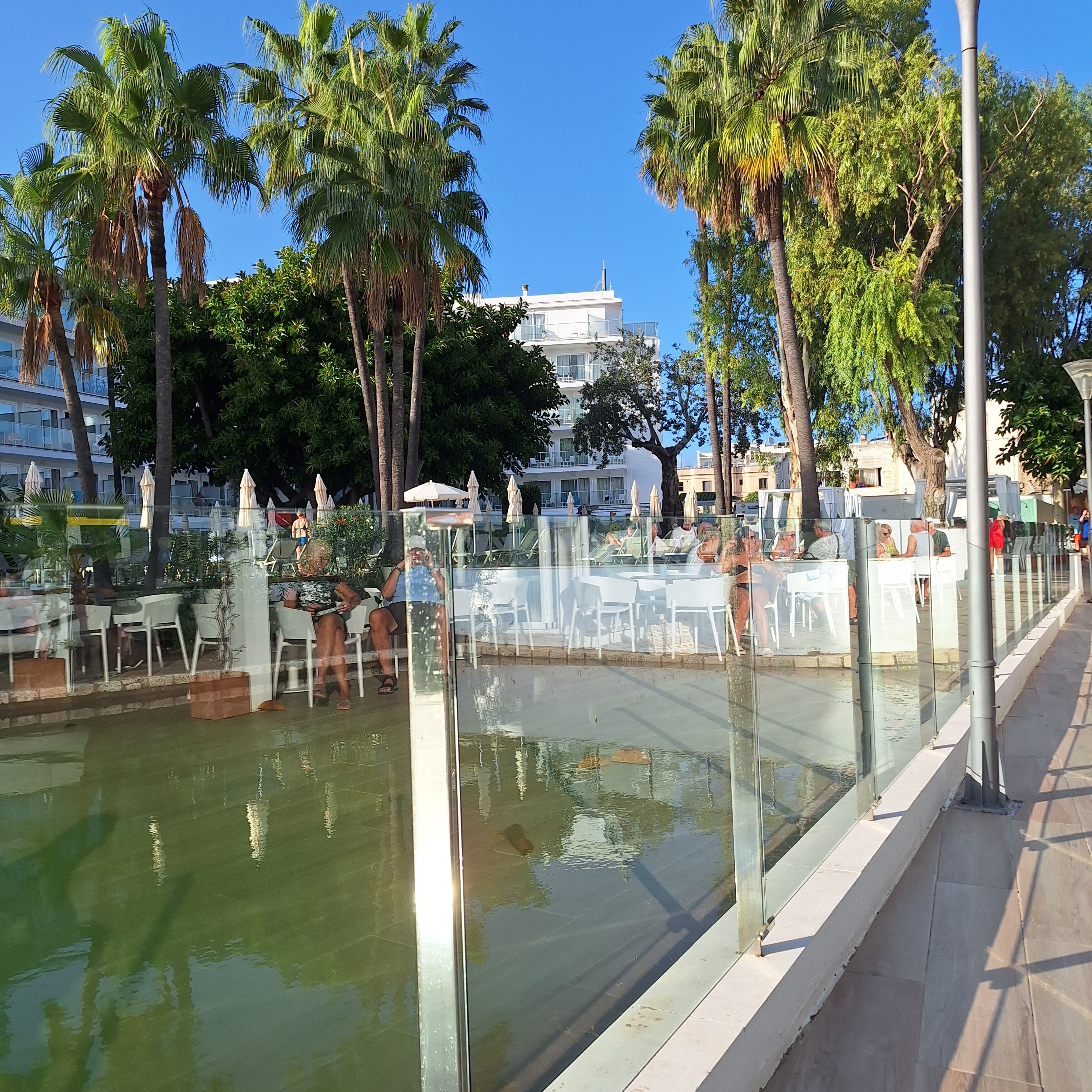 Alua Boccaccio-官方