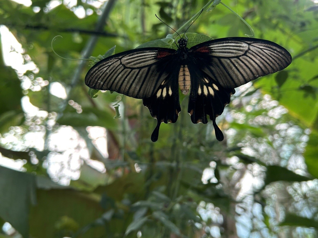 The Bug Parc-Lenwade必去景点