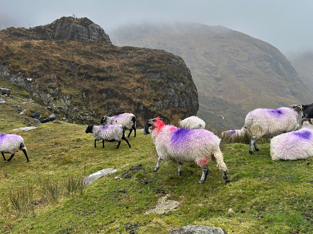 格林尼世奇-肯梅尔必去景点
