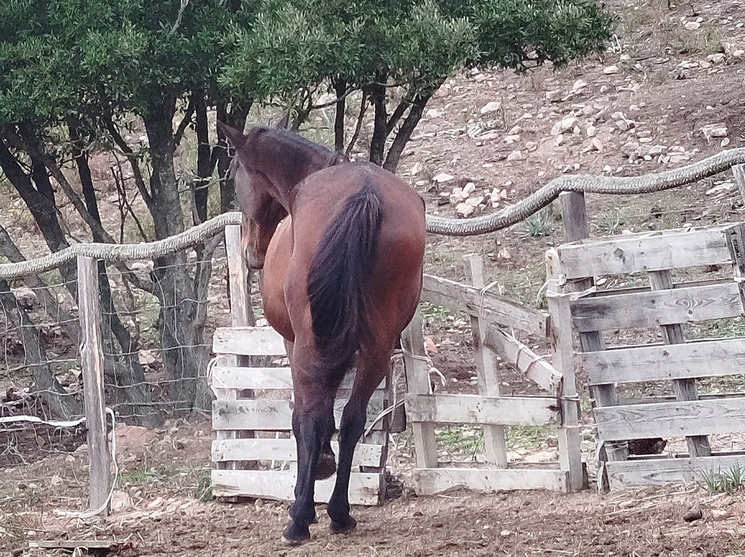 U Porcu Ranger-Figari必去景点