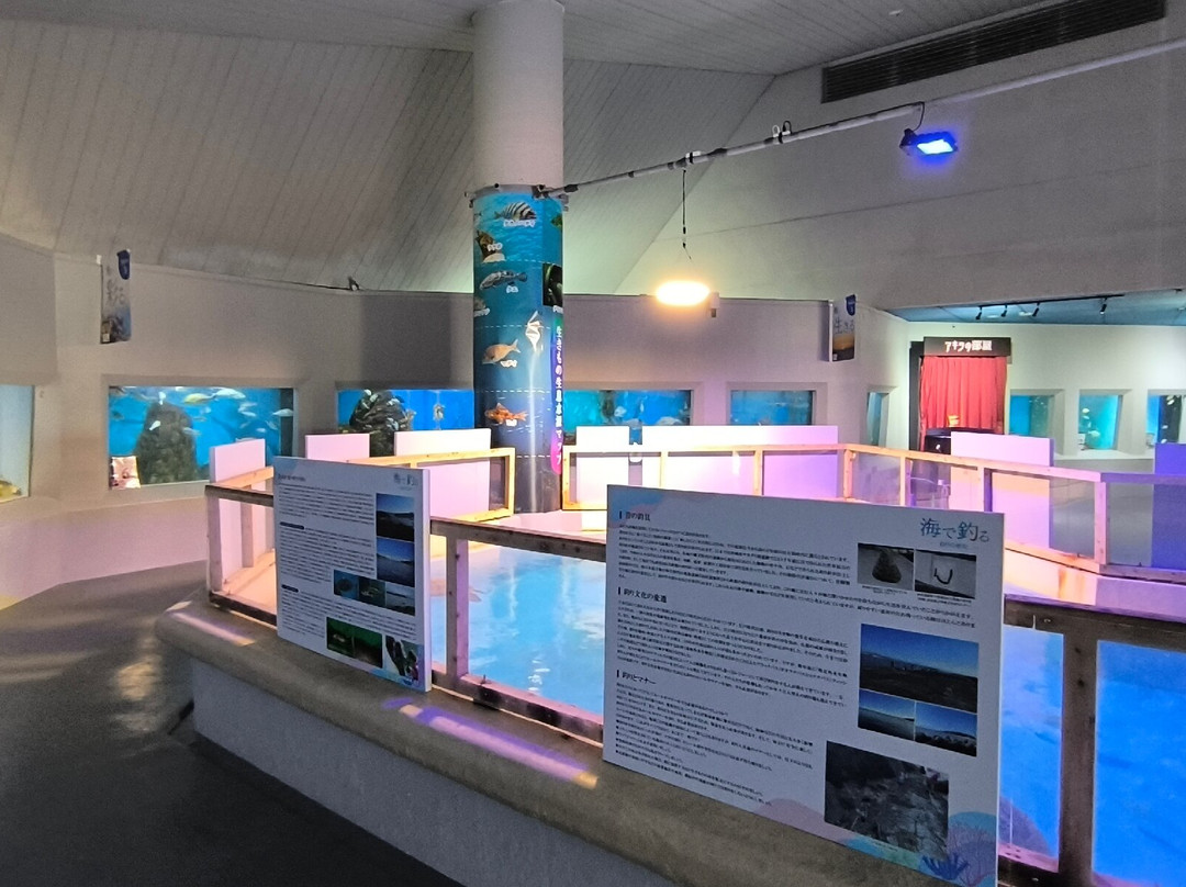 Katurahama Aquarium-高知市必去景点