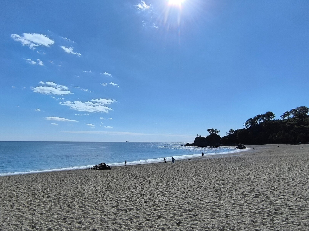 桂濱-高知市必去景点