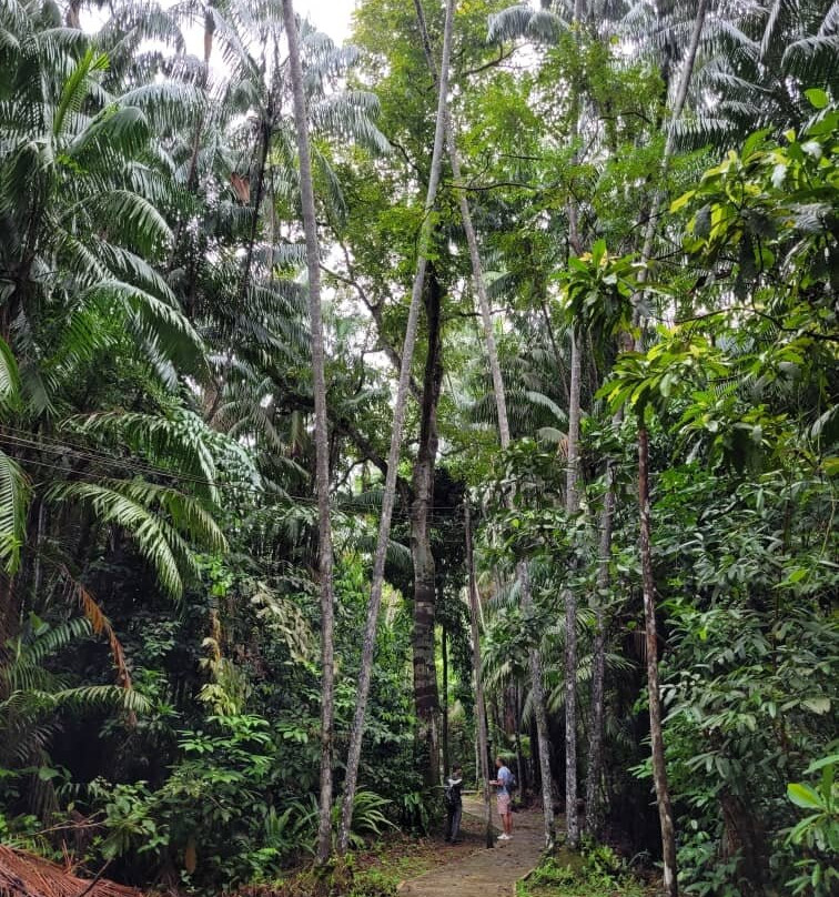 Bako National Park-古晋必去景点