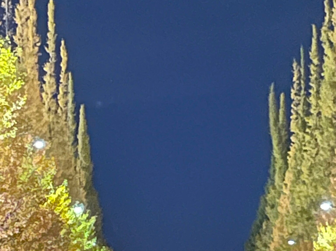 Jingu Gaien Ginkgo Tree-lined Street-港区必去景点