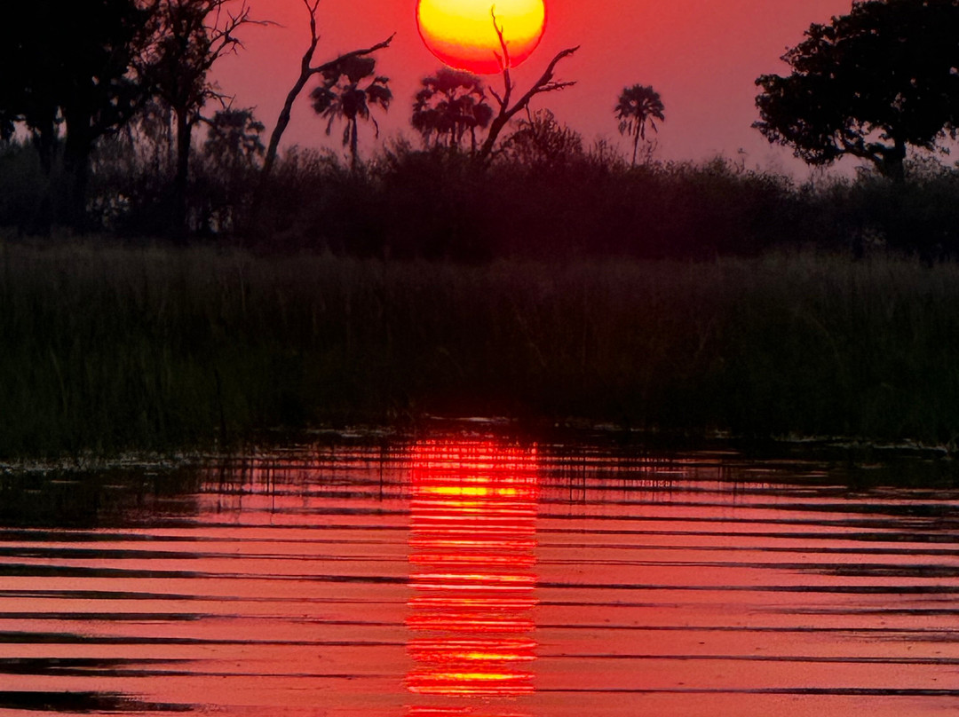 Africa Explore Safaris-开普敦必去景点