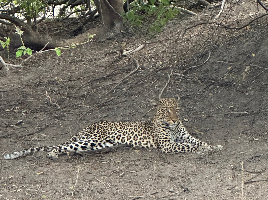 Kalahari Tours-卡萨尼必去景点