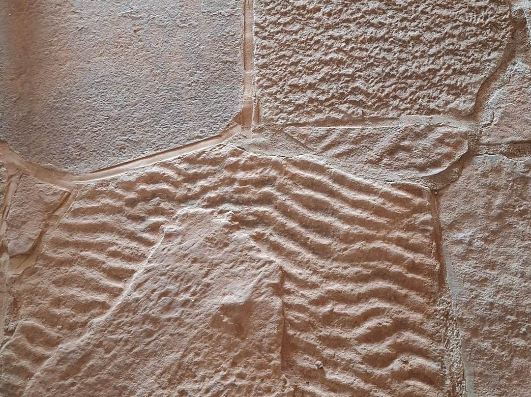 Nilpena Ediacara National Park-null必去景点