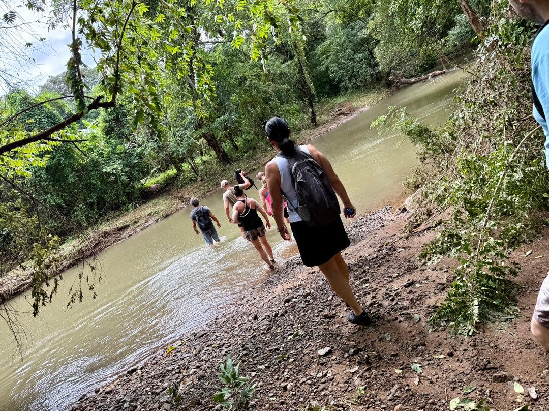 Pargos Adventures Day Tours-Playa Negra必去景点