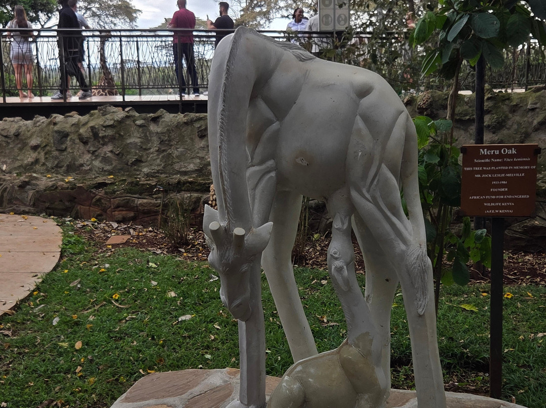 Super Africa Wildlife And Adventure Safaris-Kisii必去景点