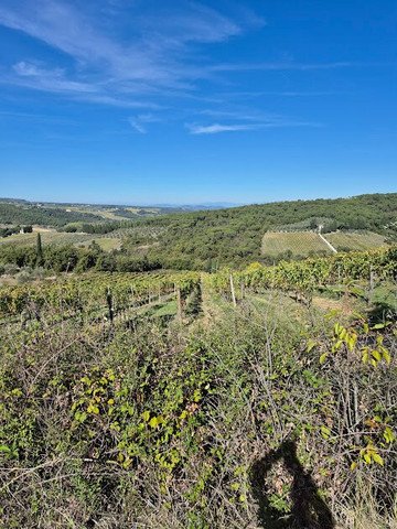 Corte Di Valle主图