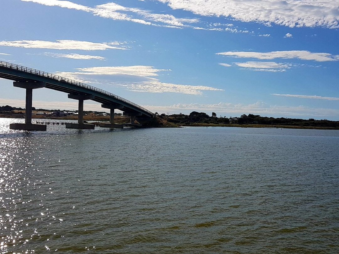 Spirit of the Coorong Cruises-Goolwa必去景点