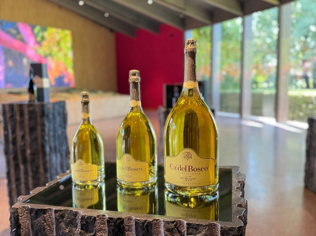 Ca' del Bosco-Erbusco必去景点