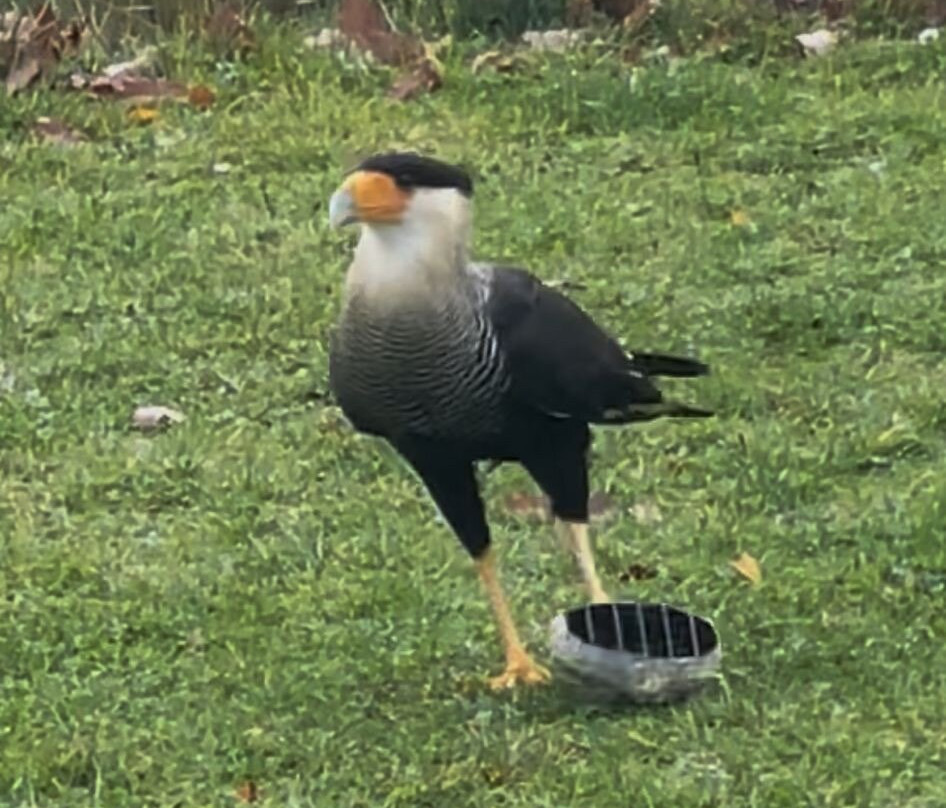 Espace Rambouillet-Rambouillet必去景点