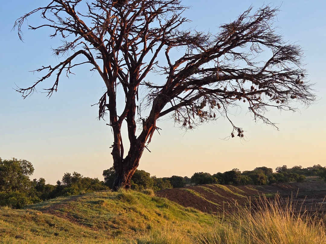 African Horizons-内罗毕必去景点