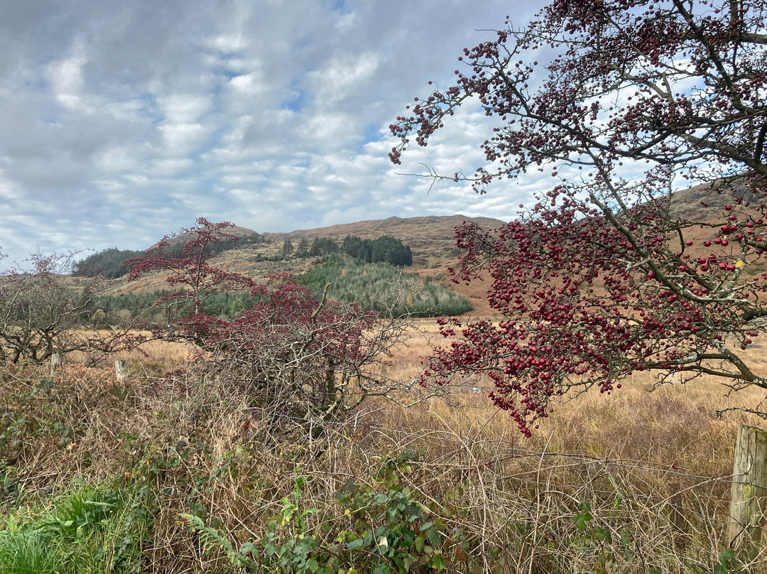 Carlingford Yoga-Carlingford必去景点
