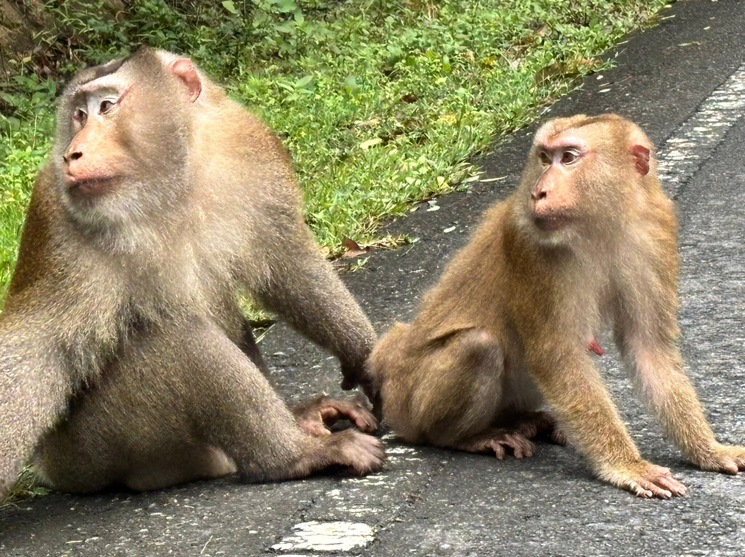 Khao Yai National Park-北丕必去景点