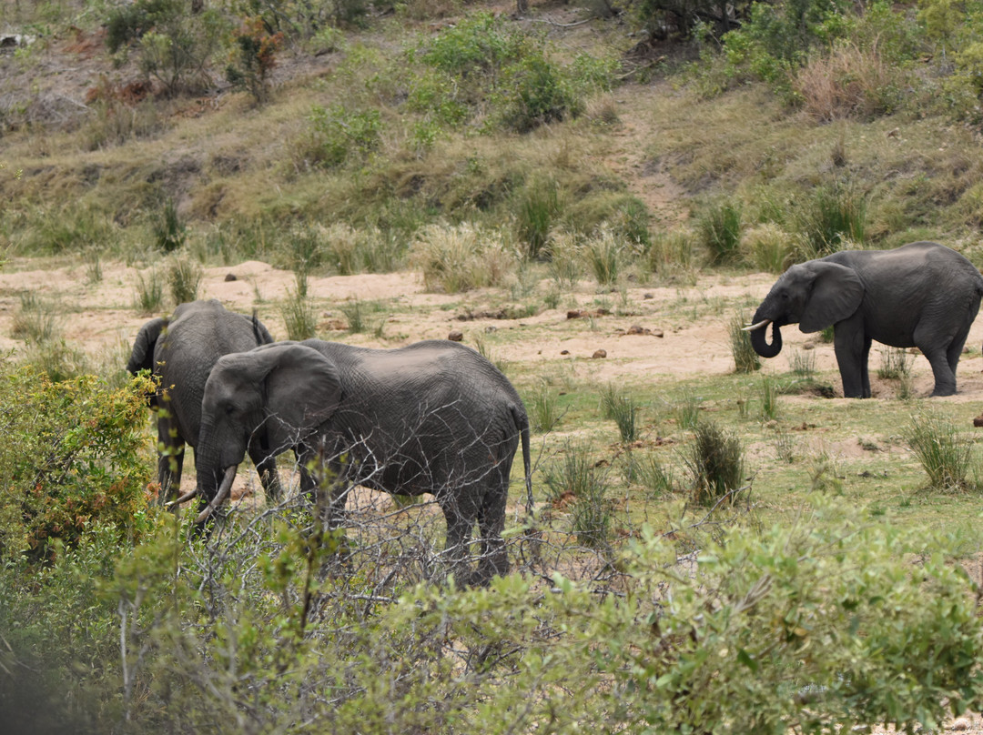 Dél-afrika-mozambik-尼斯普鲁特必去景点