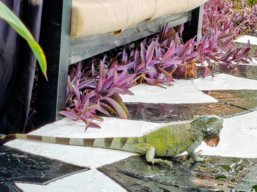 Thuishaven Boutique Mini-Resort主图