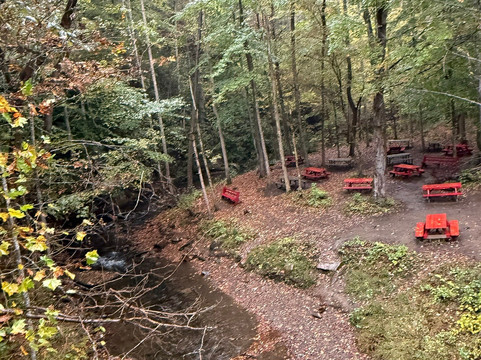 Andrews Valley Rail Tours-Andrews必去景点