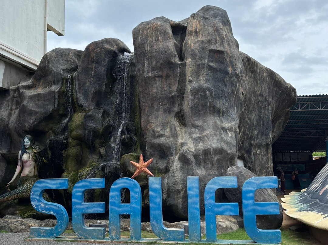 Ahungalla Sea Turtles Conservation And Research Center-亚洪加拉必去景点