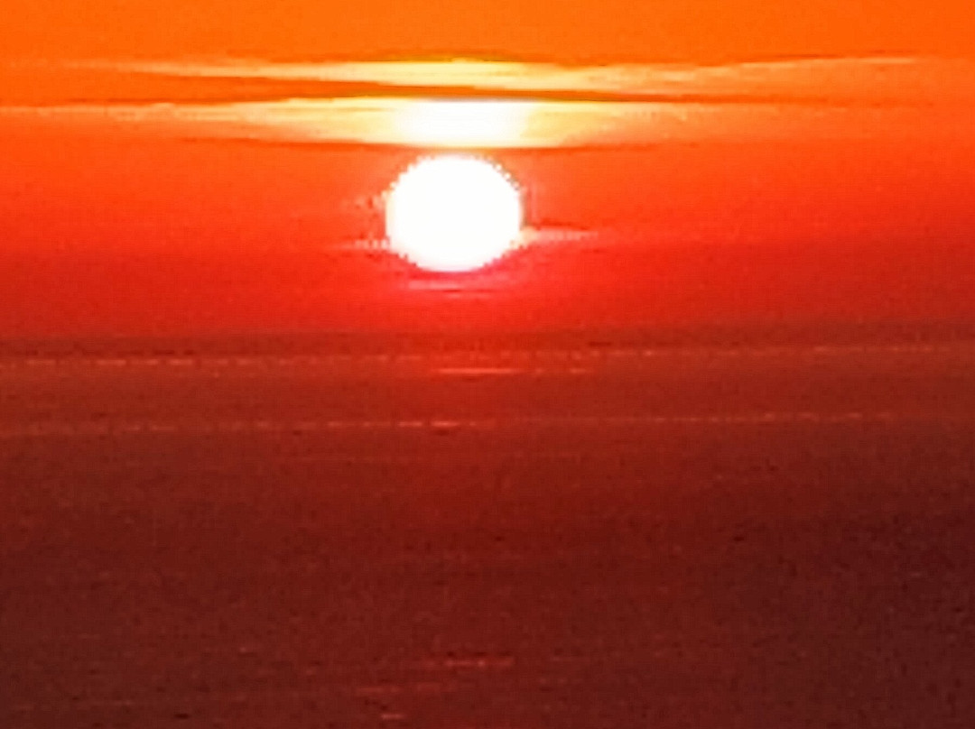 Belvedere Studios主图