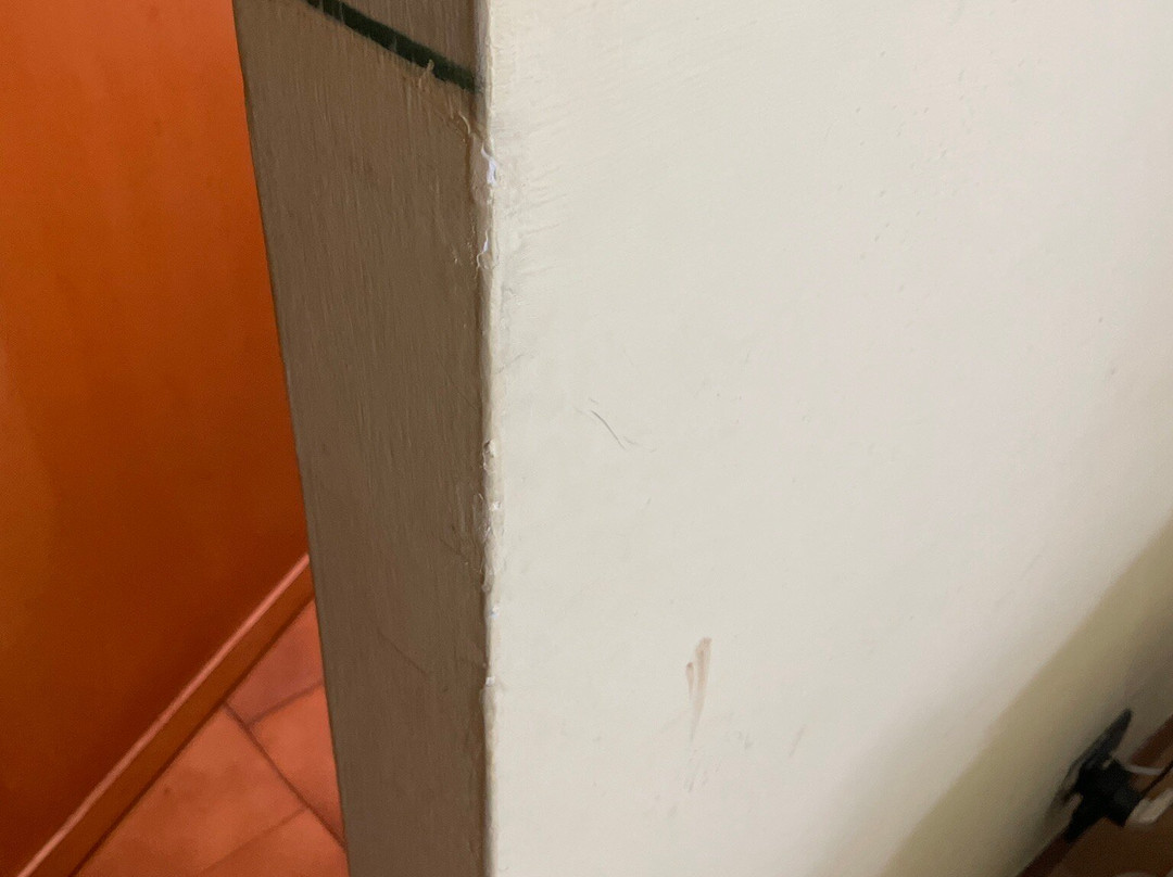 Hotel San Pietro Beach主图