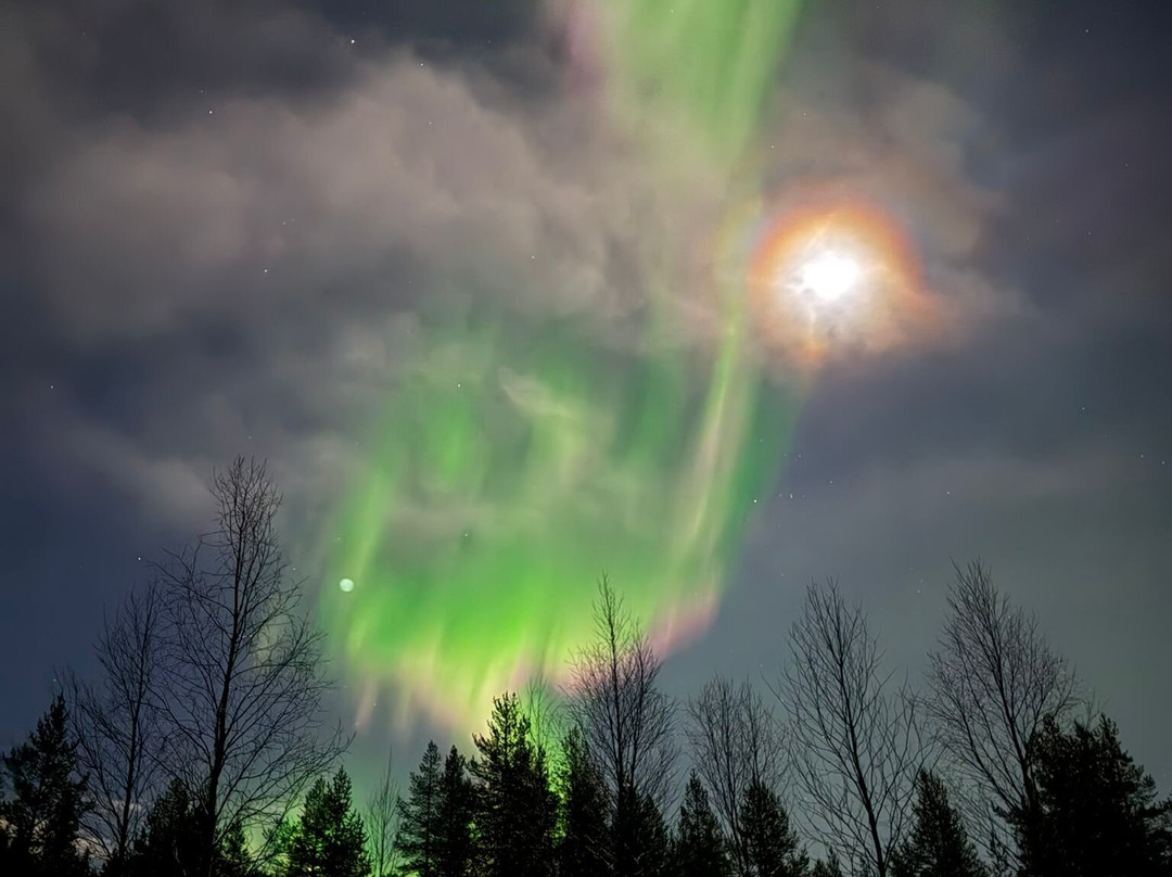 Arctic Timetravels-撒利塞卡必去景点