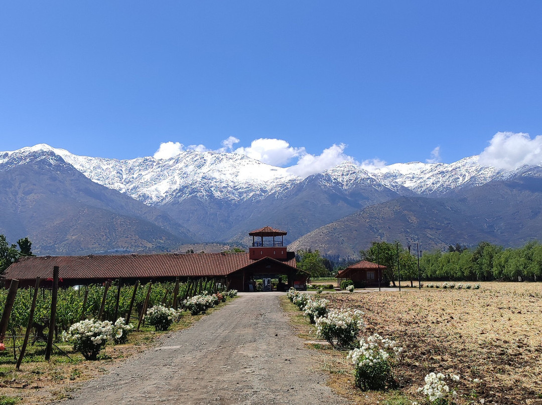 Vina Aquitania-圣地亚哥必去景点
