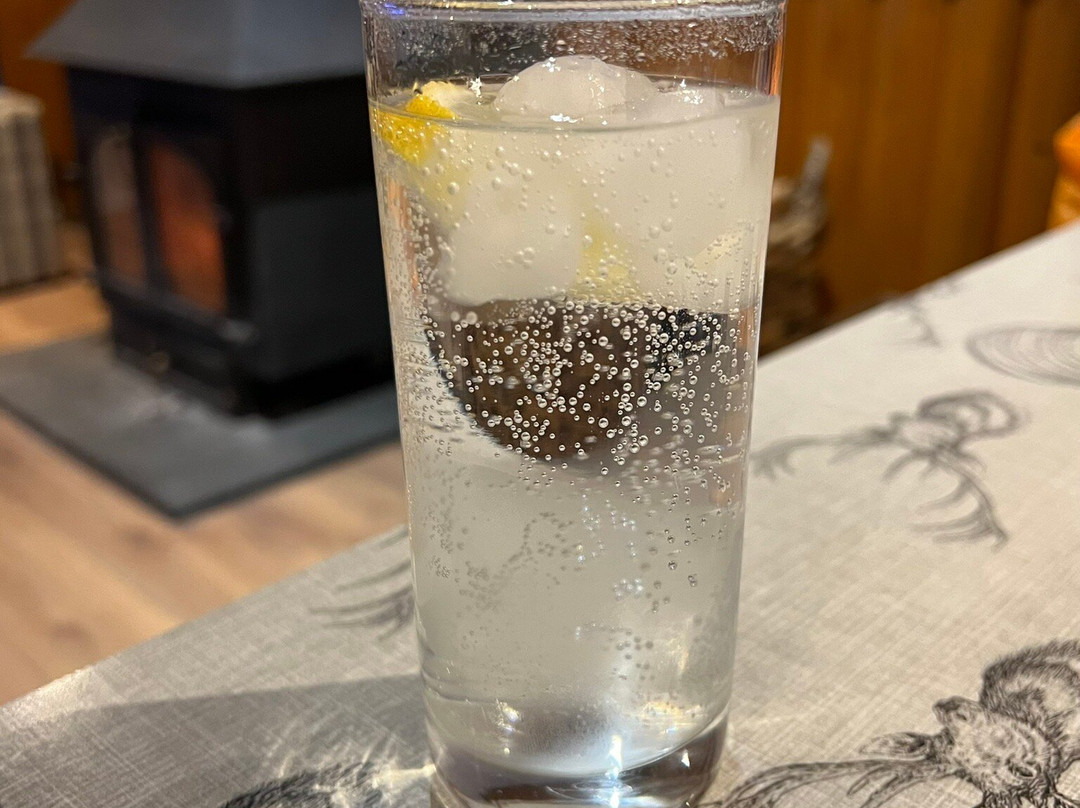 Aviemore Hoilday Park Bar and Grill