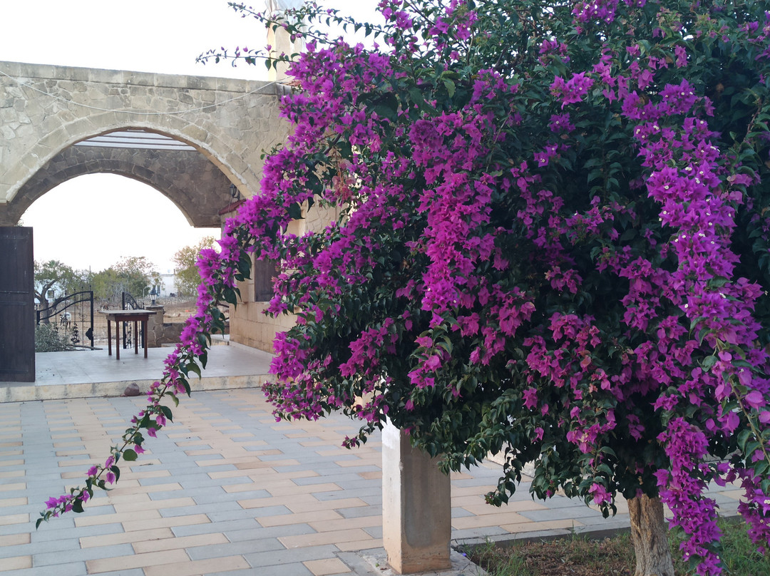 Glaro Garden Hotel主图