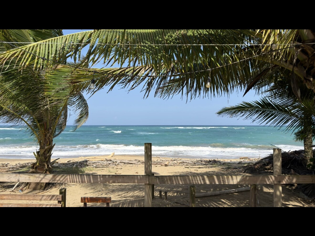 J Star Tours-Manati必去景点