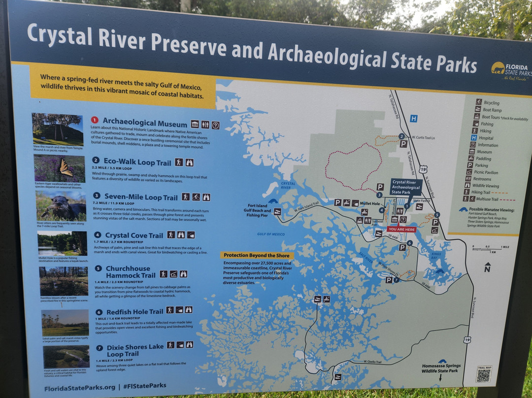 Crystal River Preserve State Park-克里斯特尔里弗必去景点