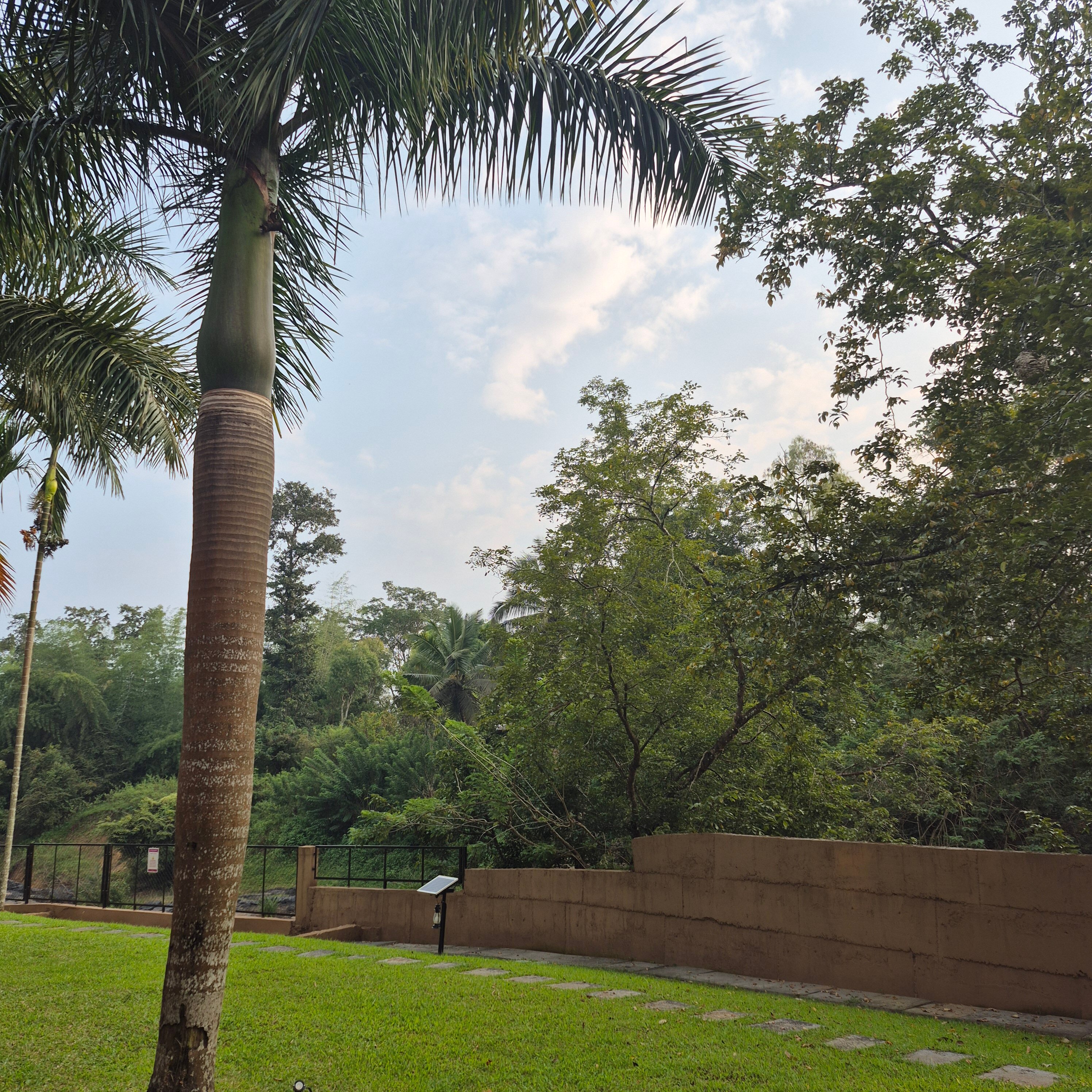 Regenta Jungle Resort Kabini Springs-官方