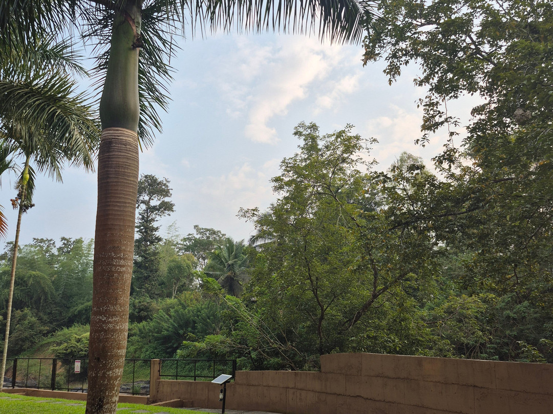 Regenta Jungle Resort Kabini Springs主图