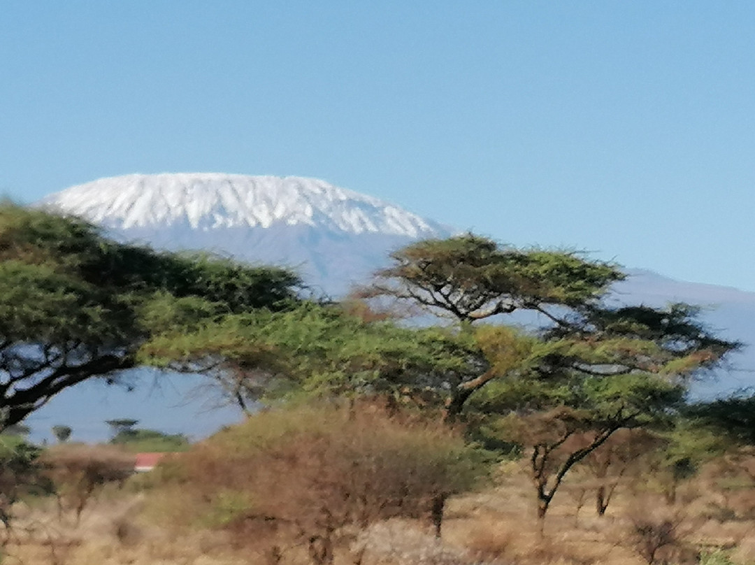 D.M. Tours & Safaris-查佛必去景点